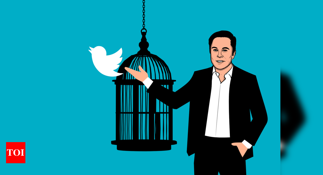 From 7,500 employees to just 1,300: The Elon Musk 'effect' at Twitter