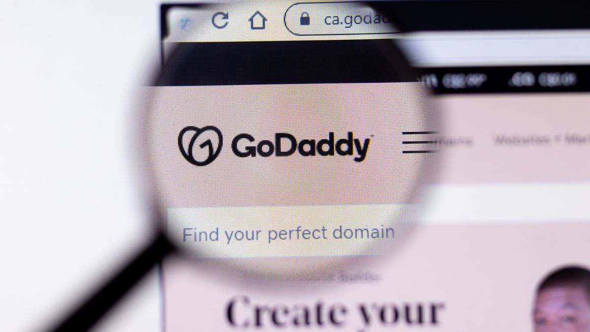 GoDaddy logo