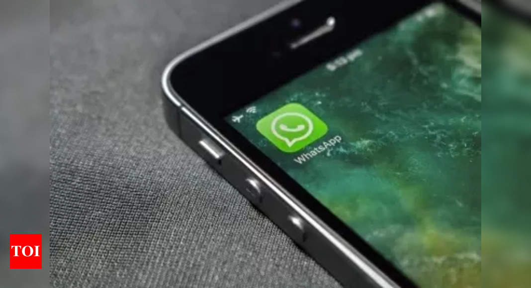 Newsletter: WhatsApp tests a new private newsletter feature: What is it