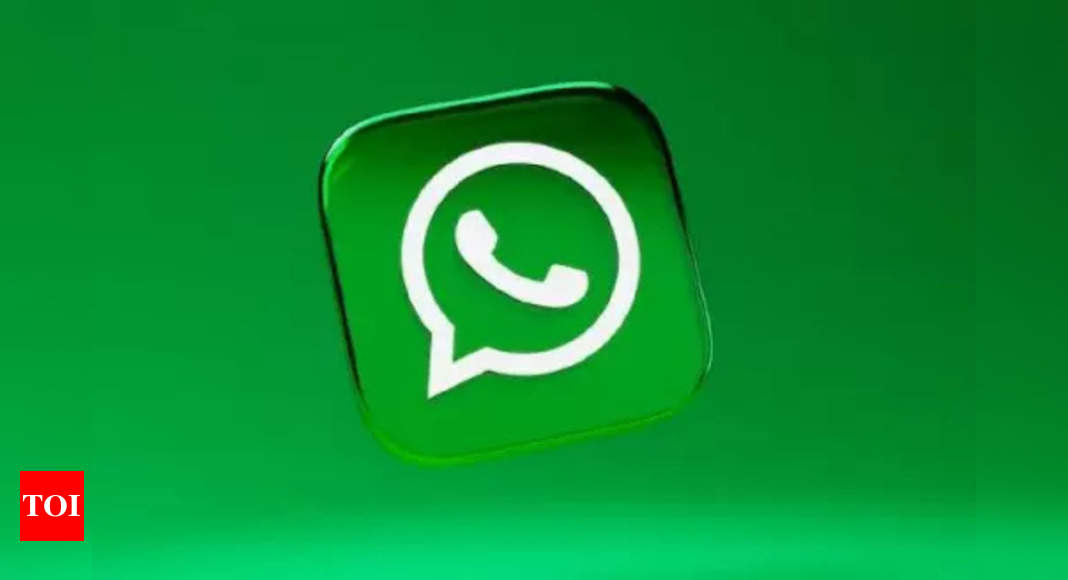 WhatsApp Business partners with metro service providers, introduces e-ticketing chatbot