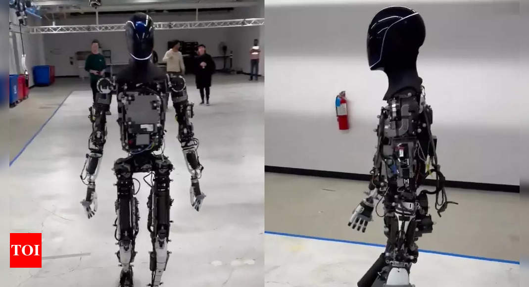 Watch: Elon Musk ‘goes for walk’ with Tesla's humanoid robot |